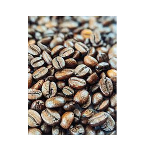 Ready to Ship Premium Quality Wholesale Espresso Coffee Blend Bulk Supply Top Quality B2B Export - Product Image 6