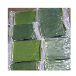 บรรจุภัณฑ์อาหารจากใบตองแช่แข็ง – ใบตองธรรมชาติจากเวียดนามสำหรับผู้นำเข้าขายส่ง - Product Image 2