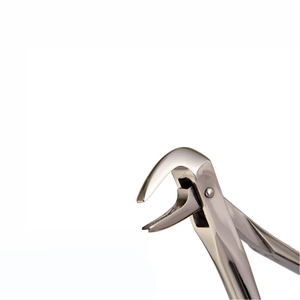 Pinzas de Extracción Dental para Raíces Inferiores Figura 74, Modelo Inglés, Acero Inoxidable, Instrumento Quirúrgico para Extracción de Dientes - Product Image 1