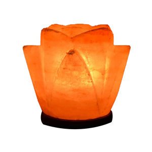Lámpara de Sal Rosa del Himalaya en Forma de Flor, Luz Nocturna de Cristal Natural para Decoración del Hogar, Lámpara de Sal de Roca Hecha a Mano, Venta al por Mayor - Product Image 1