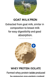 Korean Leucine Maca Arginine High Quality Nutritional Supplement - Product Image 4