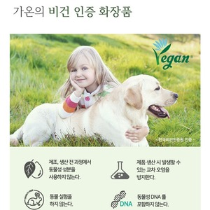 Crème pour les yeux et le visage Korea Gaon Sprout 50ml, crème K-Beauty au germe de blé et aux pousses de chou frisé pour le soin du visage et des yeux - Product Image 4