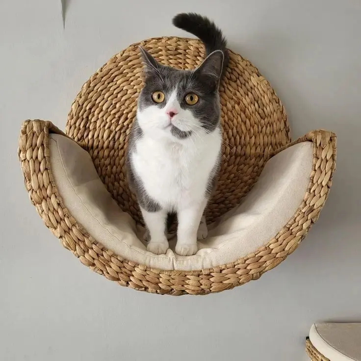 New Designs Pet Bed For Cats Shelf Handwoven Hand Wash Cat Water Hyacinth Bed House OEM Designs Customized Handmade in Vietnam