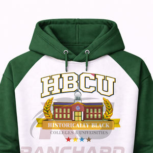 Hoodie personnalisé pour les universités et les collèges HBCU, look stylé, chaud, confortable, durable, professionnel. - Product Image 3