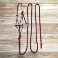 Ensemble de laisse et de collier pour cheval en corde de nylon tressée, couleur bordeaux, vente en gros