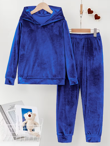 Ladies Winter Velvet Tracksuit Two Piece Lounge Wear Set Soft Fabric Full Sleeve Top and Matching Bottom - Product Image 1