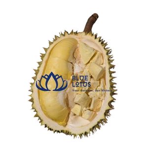 Durian lyophilisé de haute qualité, croustillant à l'extérieur, moelleux à l'intérieur, véritable goût de fruit, export en vrac - Product Image 1