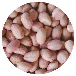 Arachides géantes biologiques blanchies brutes 100% naturelles de qualité supérieure, croustillantes, en gros, prix d'usine, en stock, vente chaude - Product Image 3