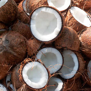 Crema de coco IQF producida en Vietnam diseñada para cadenas de suministro mundiales con embalaje adaptable y precios competitivos justos - Product Image 2