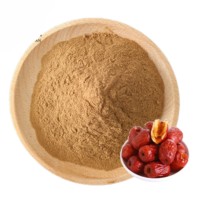 Poudre de Jujube 100% Pure en Gros OEM ODM – Poudre Naturelle de Dattes Rouges pour Smoothies, Thés et Boissons