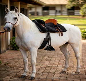 Selle d'équitation légère 16 pouces en synthétique, style Vaquero espagnol et portugais, avec arceau en plastique durable, équipement professionnel pour chevaux - Product Image 1
