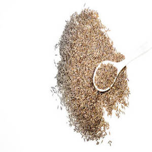 ยี่หร่าอินเดียทั้งเม็ด ฤดูกาลใหม่ สำหรับการจัดจำหน่ายขายส่งทั่วโลก การผลิตเครื่องปรุงรสแบบดั้งเดิม และการทำอาหารเชิงพาณิชย์ - Product Image 2