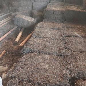 Poudre de gelée de plantes noires biologiques et durables, faible en calories, dessert à base de plantes asiatiques pour les boutiques de Boba – Éco-responsable – Meilleures ventes - Product Image 6