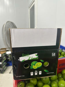 Citrons sans pépins de haute qualité du Vietnam avec une peau lisse et un goût juteux cultivés naturellement idéaux pour l'exportation vers les marchés mondiaux - Product Image 5