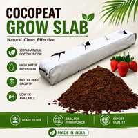 Plaques de culture en fibre de coco (blocs) du fabricant Cocopeat - 100% naturelles, écologiques, pour l'agriculture, la culture en serre et les légumes