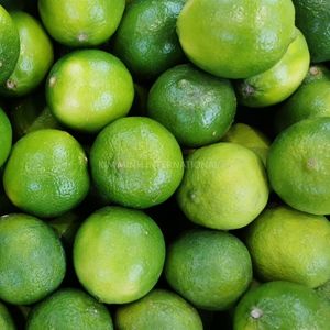 Citron vert frais du Vietnam avec une production toute l'année - Product Image 4