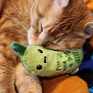 Wholesale Eco-friendly Green Cucumber <b>Plush</b> Chew Toy Interactive Puzzle Pet Supplies Training <b>Cat</b> with Catnip - Product Image 5