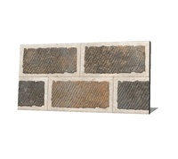 Offre Spéciale : Carreaux de Revêtement Mural Extérieur 300x600 Finition Mate, Design Brique Durable, Style Ferme, pour Hall Extérieur, 800x800mm, Type Briques Réfractaires