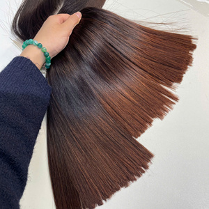 Cabello Vietnamita Virgen Crudo de Super Calidad, Liso Extremo, Color Marrón Degradado, Sedoso, Tejido a Máquina con Doble Trama, 100g - Product Image 2