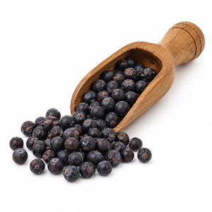 Natural Dried Juniper Berries Premium Export Quality New Season Organic Bulk Wholesale Private Label Supply OEM Service - Product Image 2
