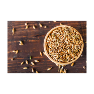 Aliments pour animaux naturels et biologiques de première qualité en gros, orge en sac de 50 kg en provenance des Pays-Bas avec une durée de conservation de 2 ans - Product Image 2