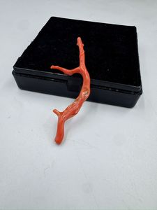 ลูกปัดปะการังแดงอิตาลีรูปทรงกิ่งไม้ พลอยดิบสำหรับทำเครื่องประดับ ปะการังอิตาลีรูปทรงต้นไม้ - Product Image 2