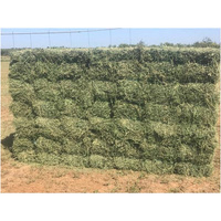 Foin d'alfalfa de qualité supérieure à vendre en gros, alimentation pour bétail, pour les exploitations d'élevage de bovins, de chevaux, de chèvres et de moutons.