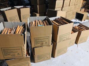 Cannelle de Cassia fendue du Vietnam, agriculture et matières premières, herbes et épices WA +84 35 254 2206 - Product Image 5