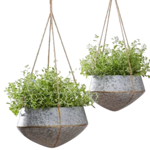 Ensemble de 2 pots suspendus en fer galvanisé pour plantes d'intérieur et d'extérieur, support à fleurs en métal rustique style ferme pour jardin et balcon - Product Image 1