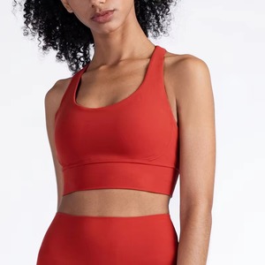 Top Deportivo Corto sin Costuras para Mujer, Venta al Por Mayor, Personalizado, de Alta Elasticidad, Manga Corta, para Yoga y Fitness - Product Image 5