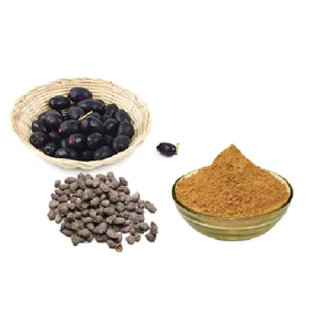 Extracto de Eugenia Jambolana en Polvo, Material Vegetal Natural para Aditivos Alimentarios, Mezclas Nutritivas y Formulaciones Herbales - Product Image 1