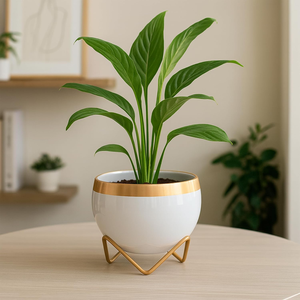 Pot de fleurs décoratif en métal blanc et doré brillant, résistant à la rouille, pour plantes d'intérieur, succulentes, herbes, bureau - Product Image 1