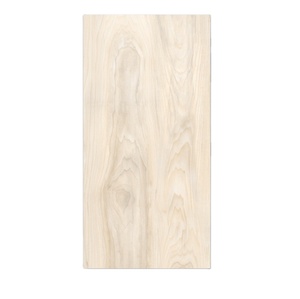Azulejos de Porcelana Rústicos para Piso, Diseño Cerámico, 600x1200mm - Product Image 1