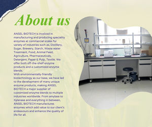 Ansel Biotech - Papainas en Polvo, Grado 98% de Pureza, 25 kg, Empaque Suelto, Hecho en India para la Industria Alimentaria - Product Image 4