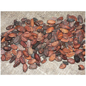 Fournisseur en gros de fèves de cacao de la meilleure qualité à vendre à prix avantageux - Product Image 3
