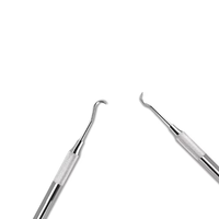 Grattoir dentaire premium, détartreur en acier inoxydable à double extrémité, instrument d'hygiène pour l'élimination de la plaque dentaire, certifié CE ISO