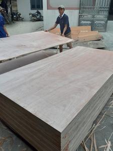 FOMEX GREENWOOD Bintangor Face Contreplaqué Modèle COMMERCIAL CONTREPLAQUÉ Durable pour l'utilisation de meubles commerciaux 4-30mm d'épaisseur 1220 X - Product Image 3