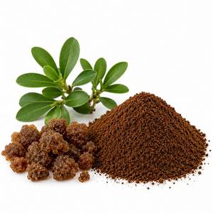 Proveedor de Extracto Botánico Estandarizado, Extracto de Commiphora Mukul en Polvo, Ingrediente Guggul Premium para Productos Nutracéuticos OEM - Product Image 4