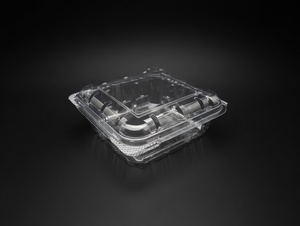 Contenedor Agrícola Cuadrado de Polímeros Ecológicos AGR-149 de 100 ml, Transparente, de PET, con Diseño de Pared Ventilada, para Arándanos - Product Image 3