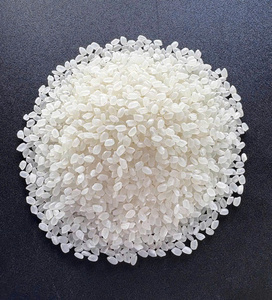 Riz Shiratake Japonais Professionnel OEM, Faible en Glucides, Régime Céto, Konjac Miracle, Texture Dure Séchée, Haute Qualité, Achat en Gros - Product Image 6