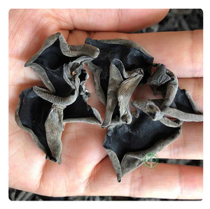 Cultivado Shiitake Morel Wood Ear Mushroom Fresh Whole Spring Roll Envuelto Secado OEM Bolsa personalizada Empaquetado Fuente de alimentos crudos saludables - Product Image 6