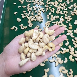 Fabricación de Nueces de Anacardo Orgánicas, Nueces de Anacardo Ww180, Nueces de Anacardo Vietnamitas W320, Exportación al por Mayor a Asia y Medio Oriente - Product Image 1
