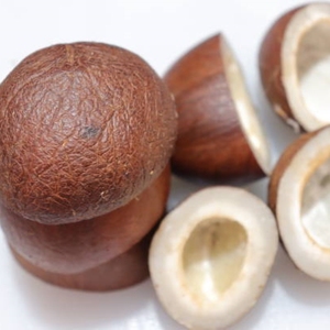 Tranches de noix de coco séchées de qualité supérieure, sélectionnées et cueillies à la main, pour la cuisson salée, récolte de première qualité, emballage économique, vente en gros à prix avantageux - Product Image 5