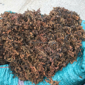 Algues sargasses de qualité supérieure – Ingrédient alimentaire marin naturel en provenance du Vietnam - Product Image 1