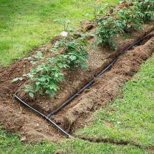 Connecteur en T barbelé de 16 mm pour lignes d'irrigation goutte à goutte en PVC avec raccords sécurisés pour les branches, idéal pour les fermes, les jardins et les serres - Product Image 4
