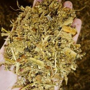 Silage de Cáscara de Piña Fermentada, Precio de Fábrica, Estándar Internacional, Empacado en Bolsa Jumbo de 500 kg, Superventas - Product Image 4