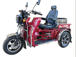 Motocicleta de Gasolina de Tres Ruedas Tipo Rickshaw Abierta y Accesible para Pasajeros - Product Image 2