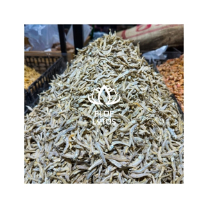 ปลาแอนโชวี่แห้งคัดสรรอย่างดี วัตถุดิบอาหารทะเลสำหรับทำน้ำซุปและคลุกสลับในสลัด ขายส่งจำนวนมากเพื่อการส่งออก ได้รับการรับรองจากลูกค้า - Product Image 1