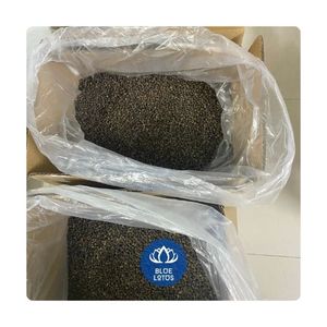 เมล็ดมะละกอสดคุณภาพสูง ราคาขายส่งถูก พริกแห้งสมุนไพรธรรมชาติ พรีเมียม จัดส่งจำนวนมากจากโรงงาน - Product Image 1