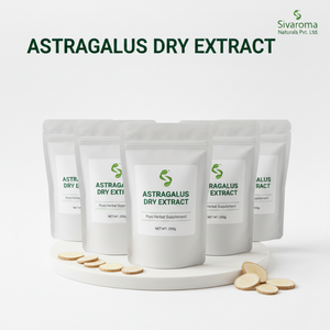 Extracto Seco de Raíz de Astrágalo de Alta Calidad para Exportadores e Importadores en Mercados de Ingredientes Botánicos - Product Image 4